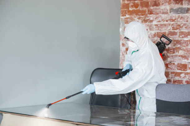 Best Emergency Mold Remediation  in New Madison, OH