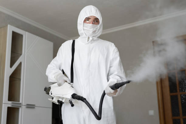 Best Residential Mold Inspection & Testing  in New Madison, OH